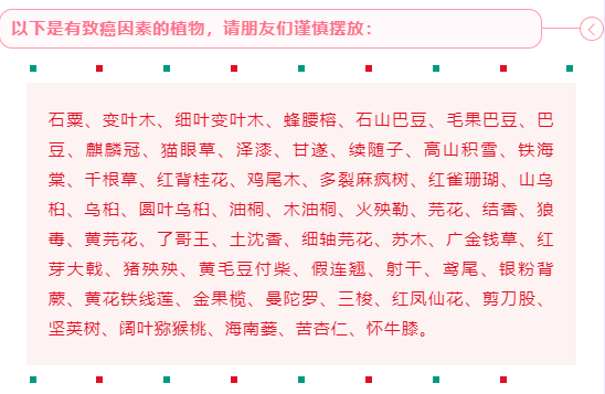 家中植物的摆放会影响运势,不可不信!