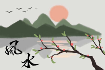 客厅适合摆放什么干花比较好 哪些是最值得推荐的呢