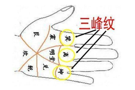 凤尾纹有何寓意?手有凤尾纹的人富贵多福!