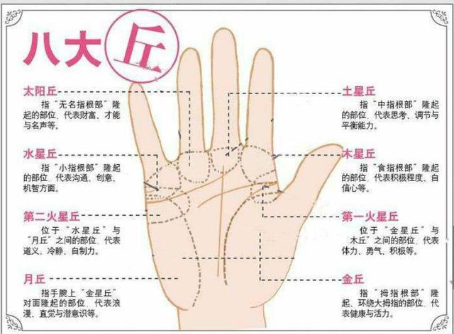 秒懂手相:从凤尾纹看亲和力
