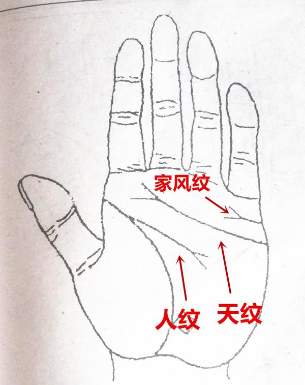 凤尾纹一定会离婚吗?手相中有凤尾纹必定离婚!