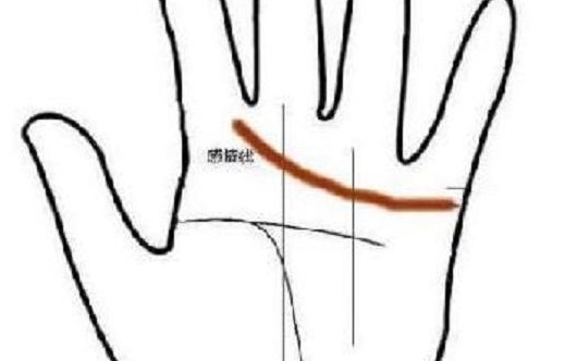 手相感情线要怎么看?从感情线图解看你的爱情观!