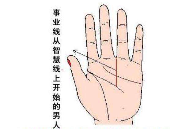男人手相事业线图解大全:这些手相的男人事业运好!