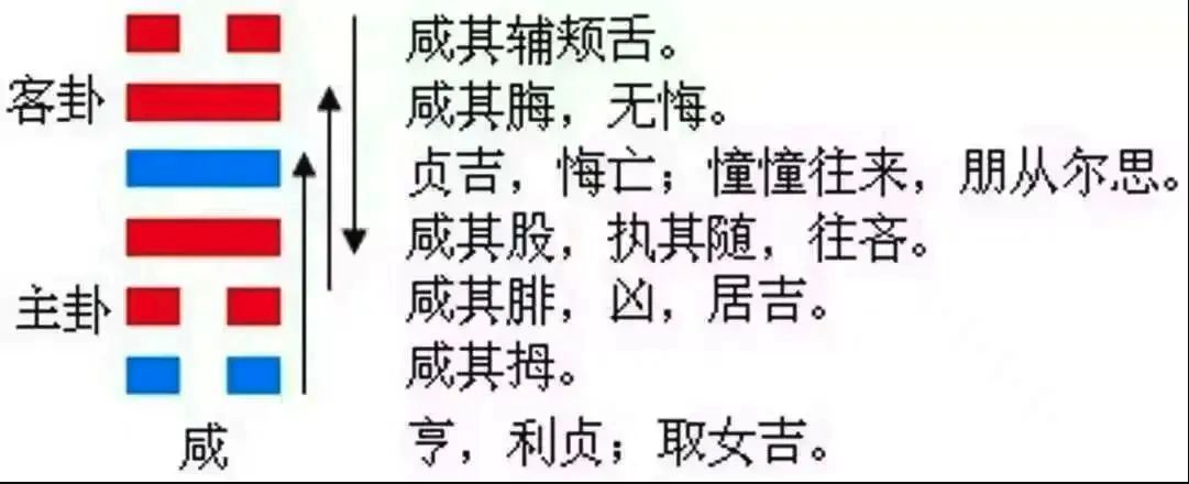 2023年10月6日十二生肖运势揭秘来啦