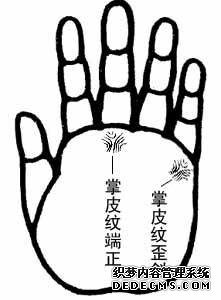掌丘手相-主丘的确定,八大掌丘手相