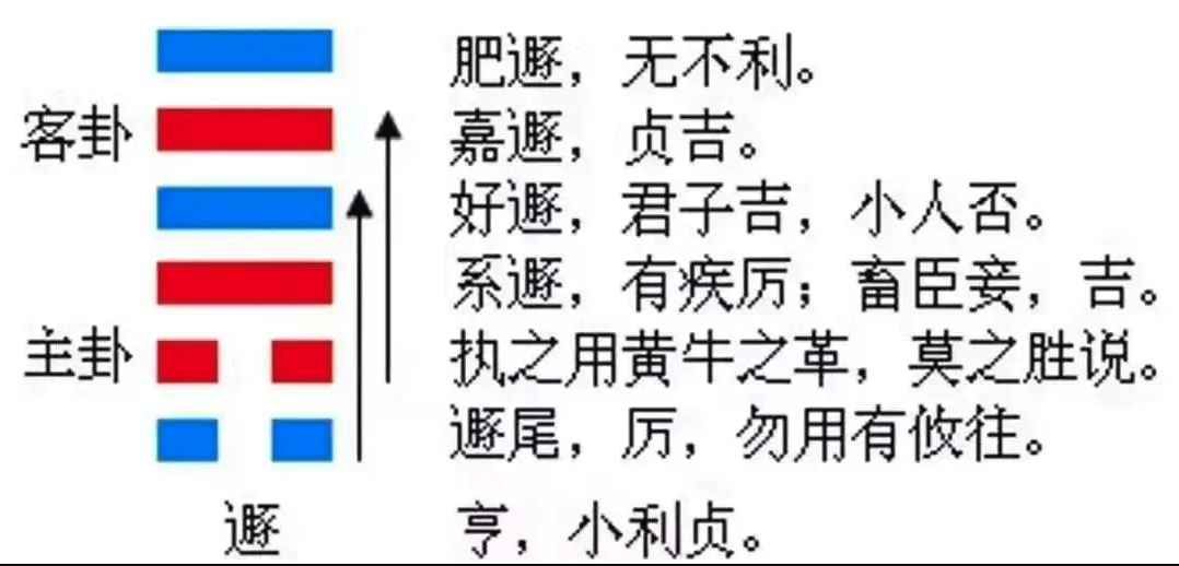 2023年9月24日十二生肖运势揭秘来啦