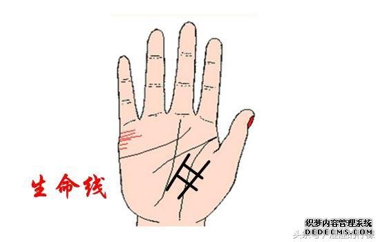 好命又聚财的井字纹, 你有吗?