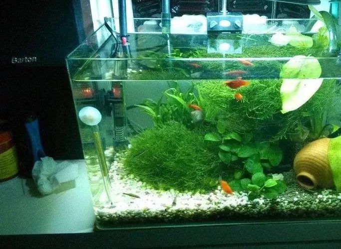 “天心”决定你家风水好坏,不知道的赶紧查看!