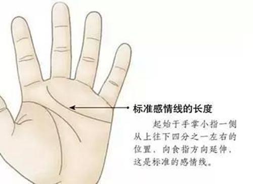 感情线双线的人出轨的几率大吗?感情线是双线就一定出轨吗?