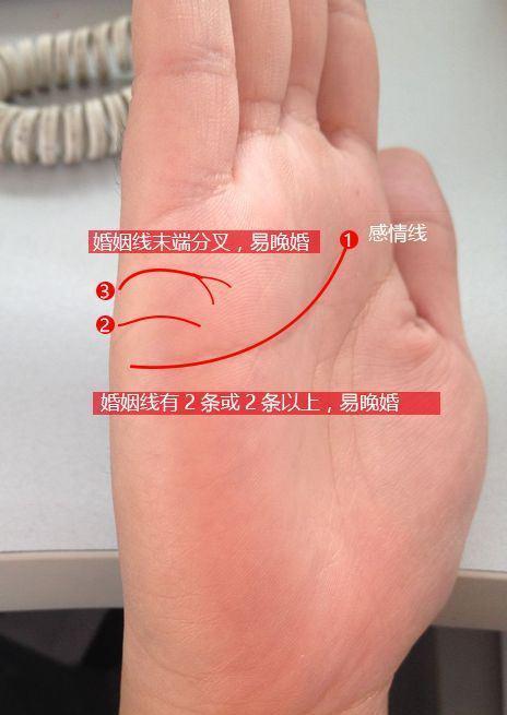感情线与年龄段:“婚姻线”的位置与结婚年龄的关系。
