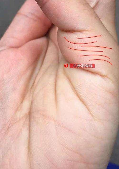 感情线与年龄段:“婚姻线”的位置与结婚年龄的关系。