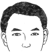 28种眉毛类型图文详细分析
