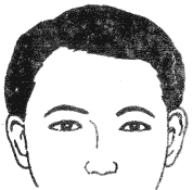 28种眉毛类型图文详细分析