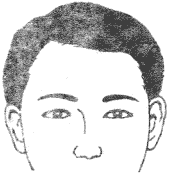 28种眉毛类型图文详细分析