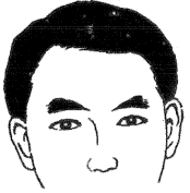 28种眉毛类型图文详细分析