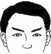 28种眉毛类型图文详细分析