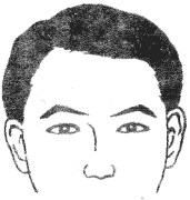 28种眉毛类型图文详细分析