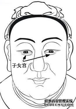 麻衣神相学习_面相学习_面相看法_面相十二宫图解