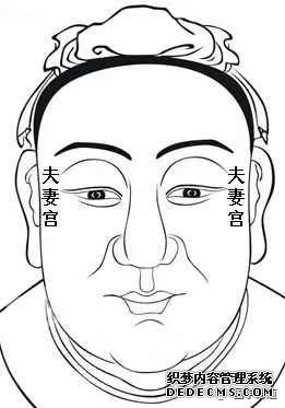 麻衣神相学习_面相学习_面相看法_面相十二宫图解