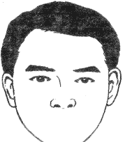 十六种鼻子面相命运图解,鼻子面相图解大全!