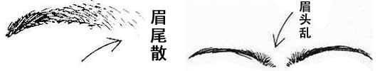 眉毛的面相学图解图片大全,二十八种眉形面相图文介绍!
