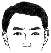 眉毛的面相学图解图片大全,二十八种眉形面相图文介绍!