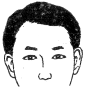 眉毛的面相学图解图片大全,二十八种眉形面相图文介绍!
