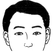 眉毛的面相学图解图片大全,二十八种眉形面相图文介绍!