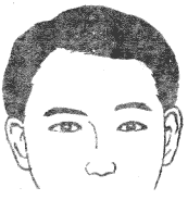 眉毛的面相学图解图片大全,二十八种眉形面相图文介绍!