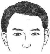 眉毛的面相学图解图片大全,二十八种眉形面相图文介绍!