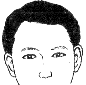 眉毛的面相学图解图片大全,二十八种眉形面相图文介绍!