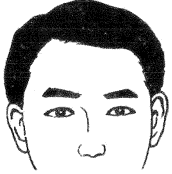 眉毛的面相学图解图片大全,二十八种眉形面相图文介绍!