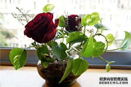 你的坏心眼指数是多少?