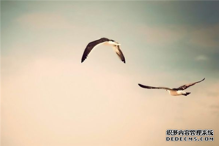 测你追逐人生梦想的劲头有多足