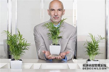 哪种植物象征你的职场生活