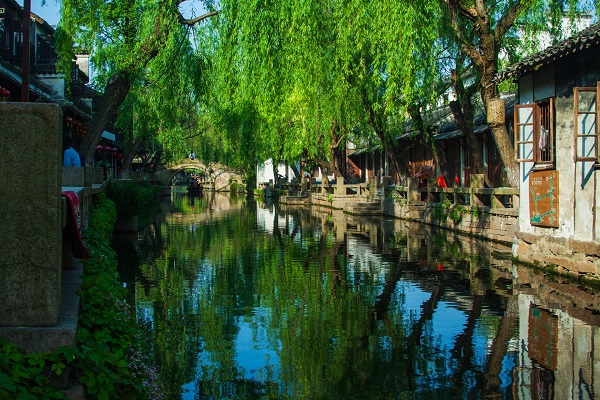 梦见水边垂柳什么意思 梦见水边垂柳有什么征兆