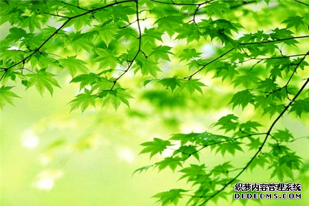 测你为人处事上最需注意的地方