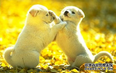 你能与人同甘共苦吗?