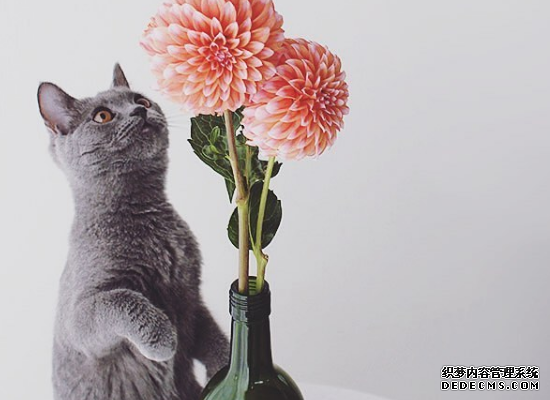 女性测试:你有让人一见钟情的魅力吗?