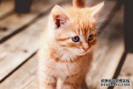 从小缺爱,你将如何去获取幸福呢