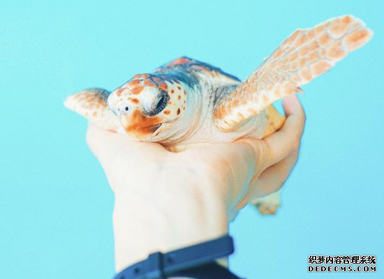 “老好人”的角色适不适合你?