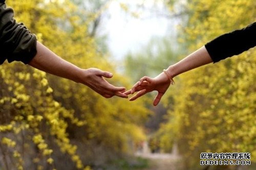 测你的感情会不会一波三折