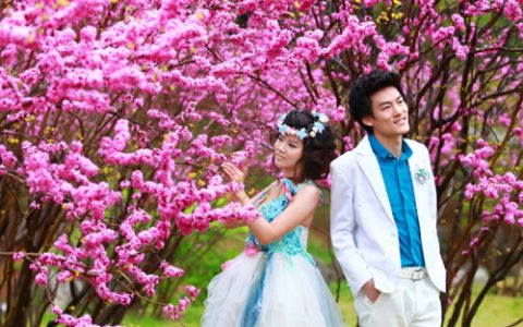 桃花运什么意思
