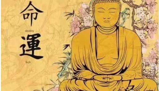 什么是四柱八字命局