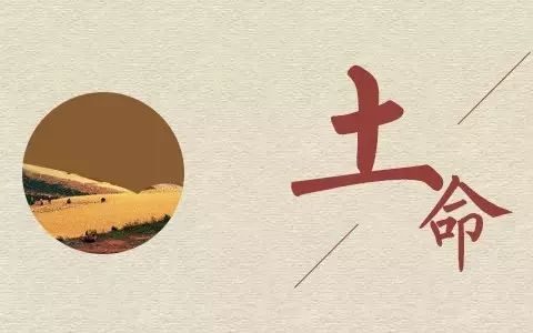 八字土命什么意思