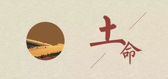 八字土命什么意思