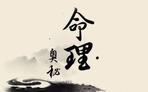 八字算命是哪八字