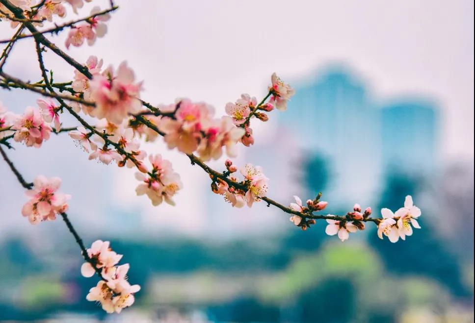八字看你易招烂桃花吗？