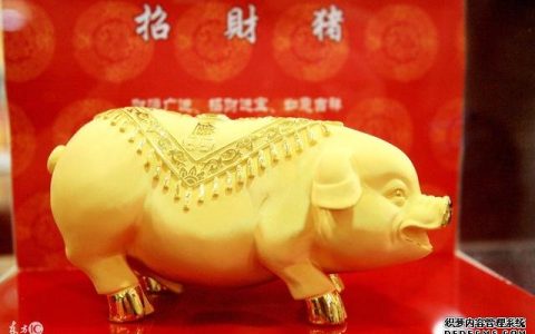 生肖猪八字运势查询-生肖猪运势