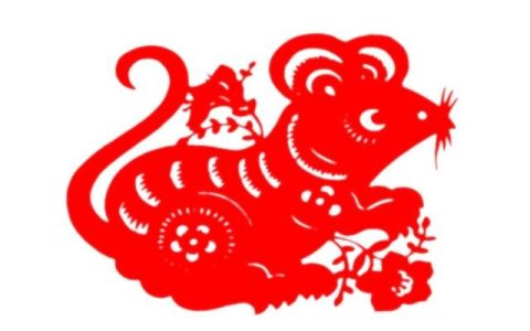 生肖鼠八字运势查询-生肖鼠运势